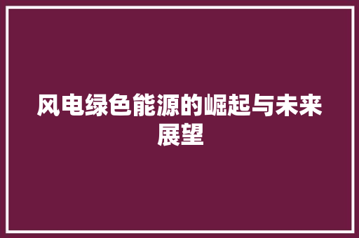 风电绿色能源的崛起与未来展望