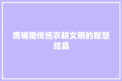 鹰嘴锄传统农耕文明的智慧结晶