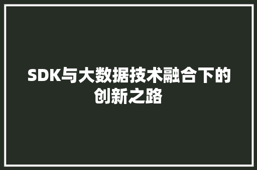 SDK与大数据技术融合下的创新之路