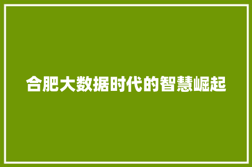 合肥大数据时代的智慧崛起  第1张
