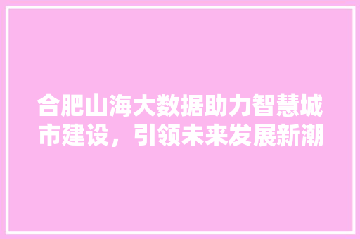 合肥山海大数据助力智慧城市建设，引领未来发展新潮流  第1张