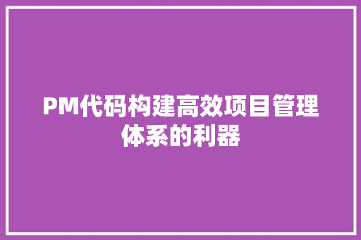 PM代码构建高效项目管理体系的利器  第1张