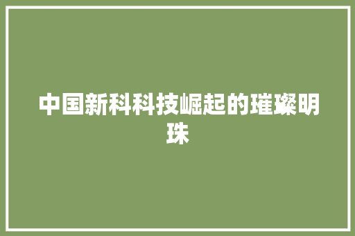 中国新科科技崛起的璀璨明珠