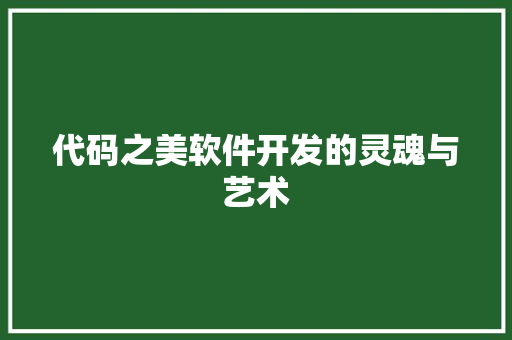 代码之美软件开发的灵魂与艺术