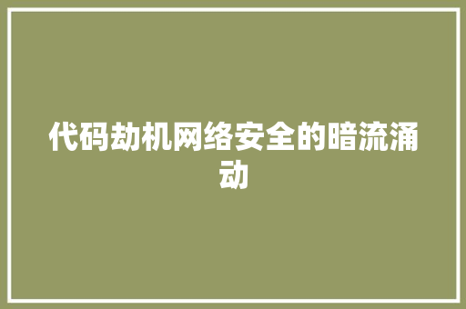 代码劫机网络安全的暗流涌动