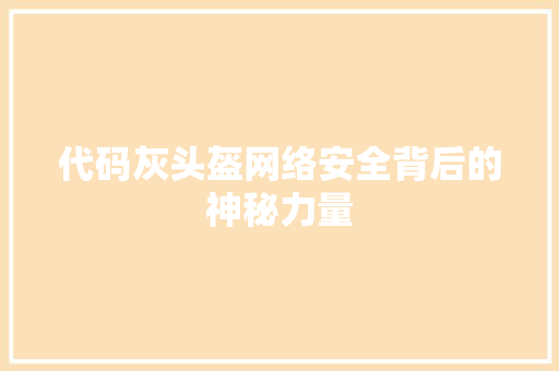 代码灰头盔网络安全背后的神秘力量  第1张