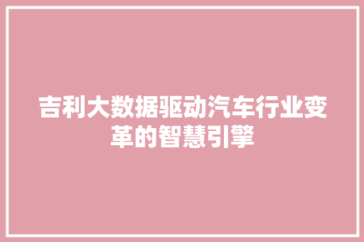 吉利大数据驱动汽车行业变革的智慧引擎