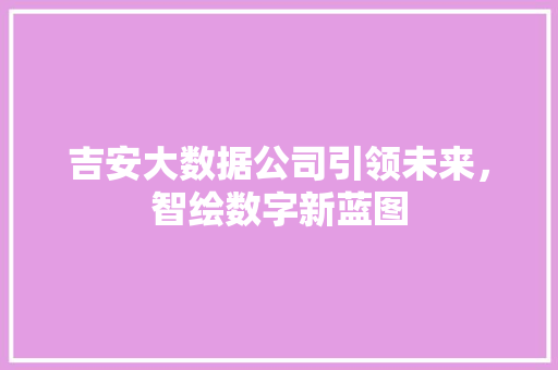 吉安大数据公司引领未来，智绘数字新蓝图