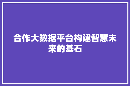 合作大数据平台构建智慧未来的基石  第1张