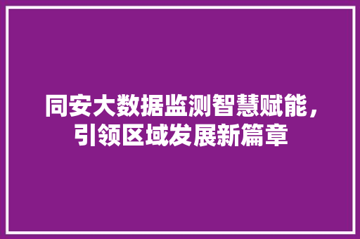 同安大数据监测智慧赋能，引领区域发展新篇章