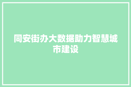 同安街办大数据助力智慧城市建设