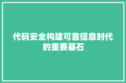 代码安全构建可靠信息时代的重要基石  第1张