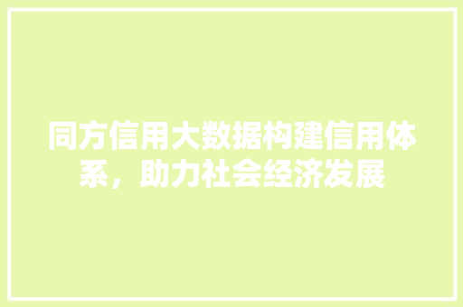 同方信用大数据构建信用体系，助力社会经济发展