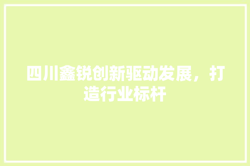 四川鑫锐创新驱动发展，打造行业标杆
