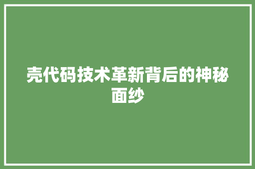 壳代码技术革新背后的神秘面纱