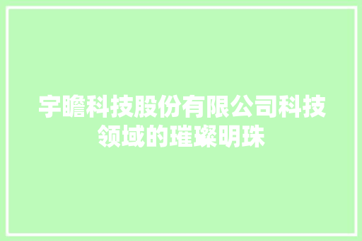 宇瞻科技股份有限公司科技领域的璀璨明珠