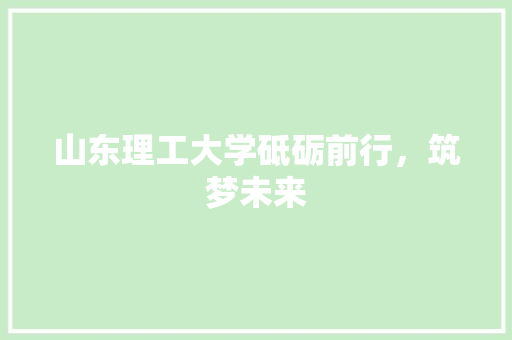 山东理工大学砥砺前行，筑梦未来