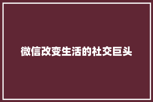微信改变生活的社交巨头  第1张
