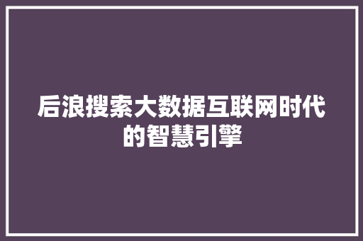 后浪搜索大数据互联网时代的智慧引擎  第1张
