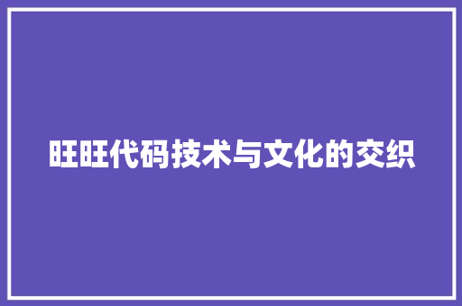 旺旺代码技术与文化的交织  第1张
