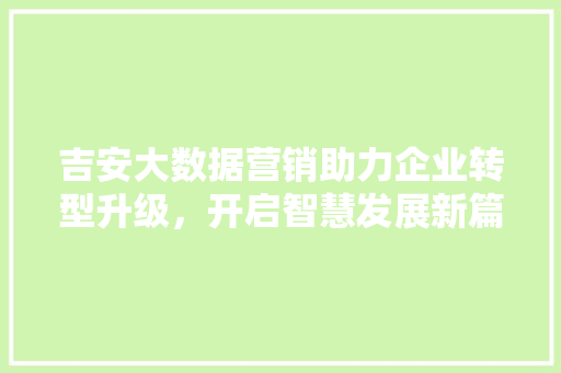 吉安大数据营销助力企业转型升级，开启智慧发展新篇章