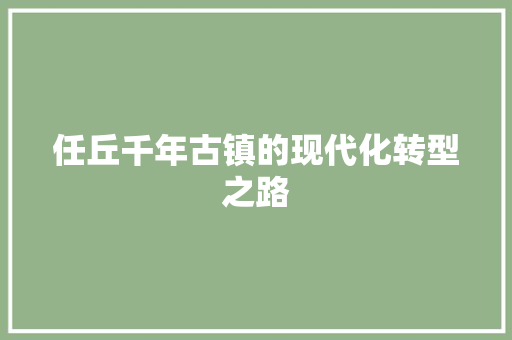任丘千年古镇的现代化转型之路