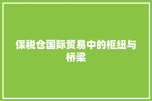 保税仓国际贸易中的枢纽与桥梁