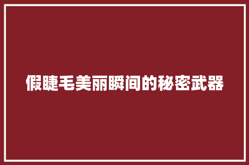 假睫毛美丽瞬间的秘密武器  第1张