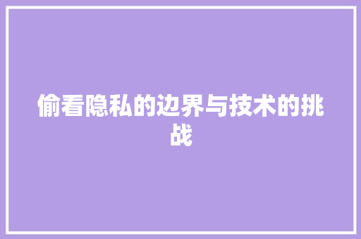 偷看隐私的边界与技术的挑战