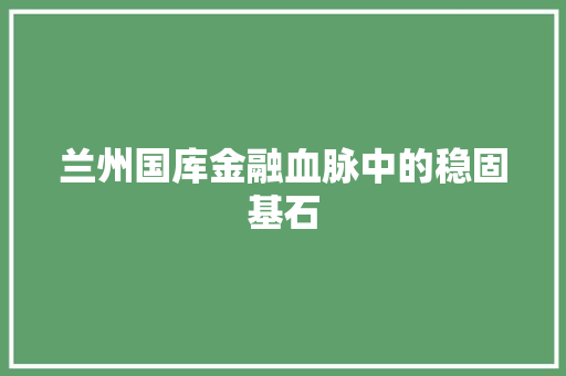 兰州国库金融血脉中的稳固基石  第1张