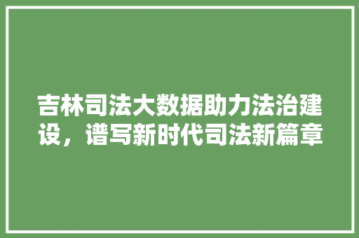吉林司法大数据助力法治建设，谱写新时代司法新篇章  第1张
