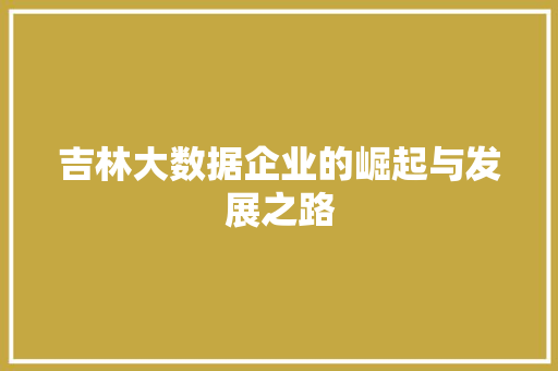 吉林大数据企业的崛起与发展之路  第1张