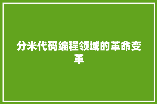 分米代码编程领域的革命变革