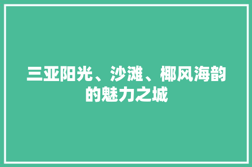 三亚阳光、沙滩、椰风海韵的魅力之城