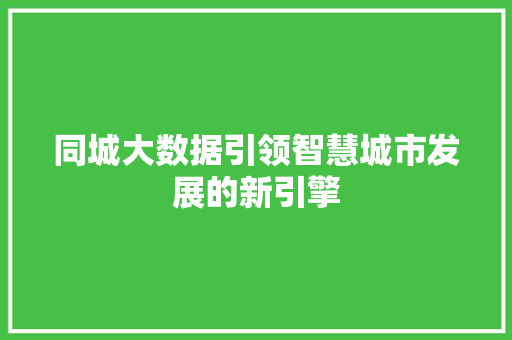 同城大数据引领智慧城市发展的新引擎  第1张