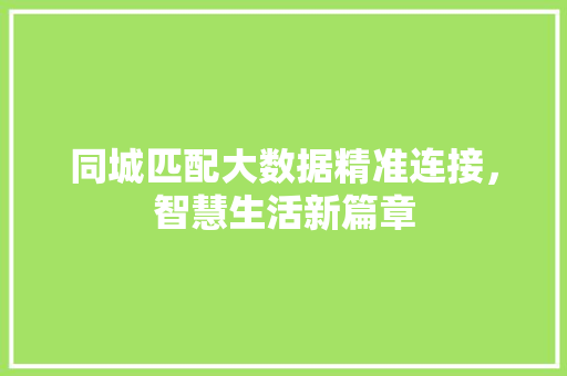 同城匹配大数据精准连接，智慧生活新篇章  第1张