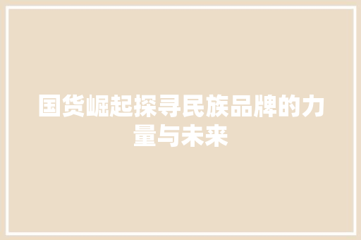 国货崛起探寻民族品牌的力量与未来