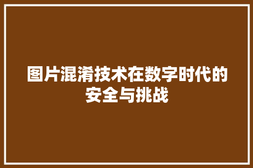 图片混淆技术在数字时代的安全与挑战