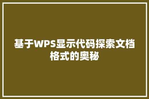 基于WPS显示代码探索文档格式的奥秘