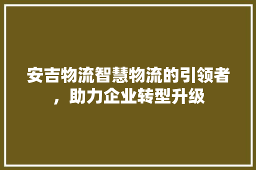 安吉物流智慧物流的引领者，助力企业转型升级