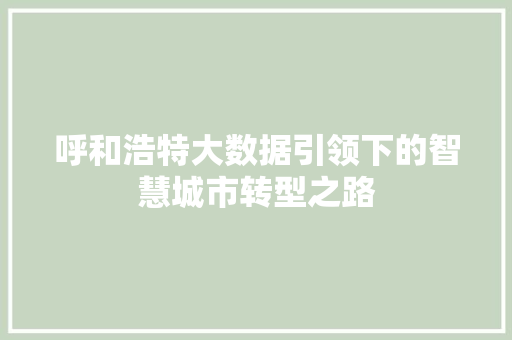 呼和浩特大数据引领下的智慧城市转型之路
