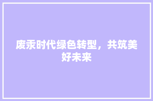 废汞时代绿色转型，共筑美好未来
