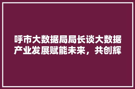 呼市大数据局局长谈大数据产业发展赋能未来，共创辉煌