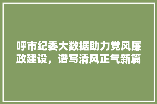 呼市纪委大数据助力党风廉政建设，谱写清风正气新篇章