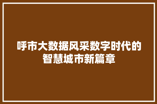呼市大数据风采数字时代的智慧城市新篇章