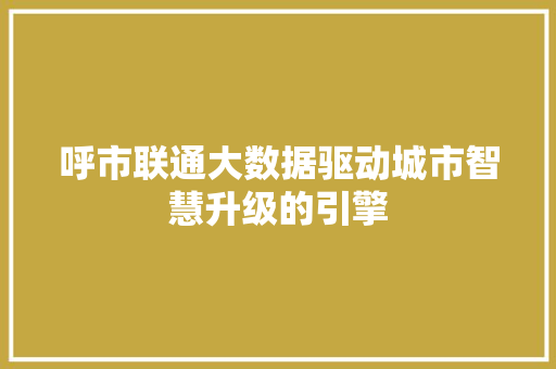 呼市联通大数据驱动城市智慧升级的引擎