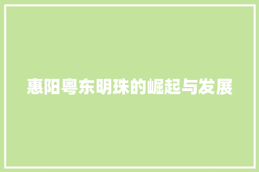 惠阳粤东明珠的崛起与发展