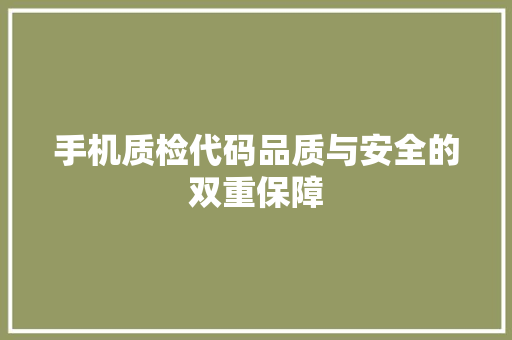手机质检代码品质与安全的双重保障