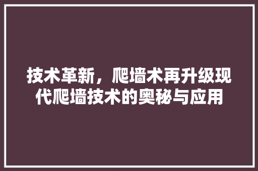 技术革新，爬墙术再升级现代爬墙技术的奥秘与应用