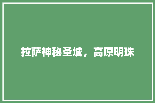 拉萨神秘圣城，高原明珠